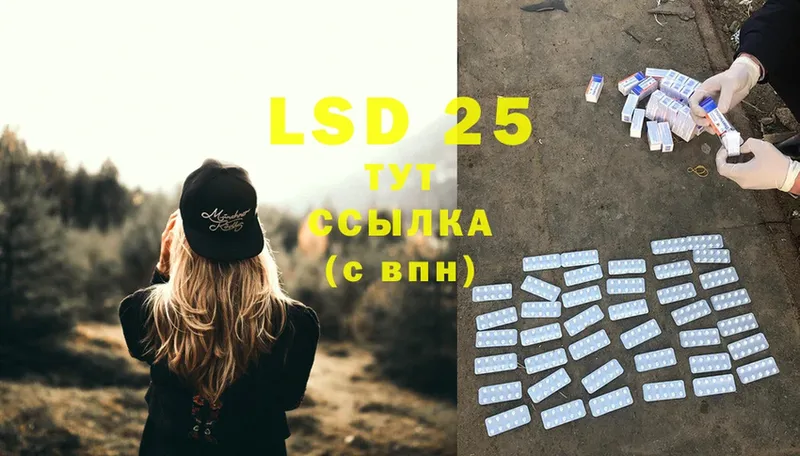 наркотики  Велиж  LSD-25 экстази ecstasy 